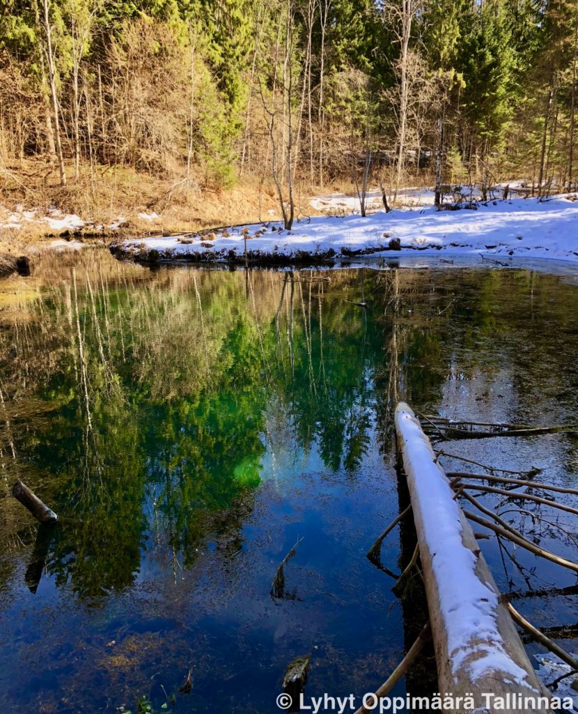 Saula Siniallikad (2)