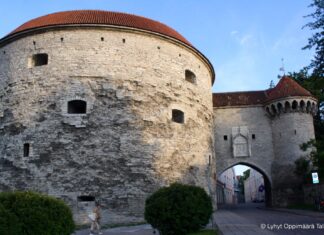Paksu Margareeta: Viron Merimuseo Vanhassakaupungissa Viron Merimuseo Paksu Margareeta