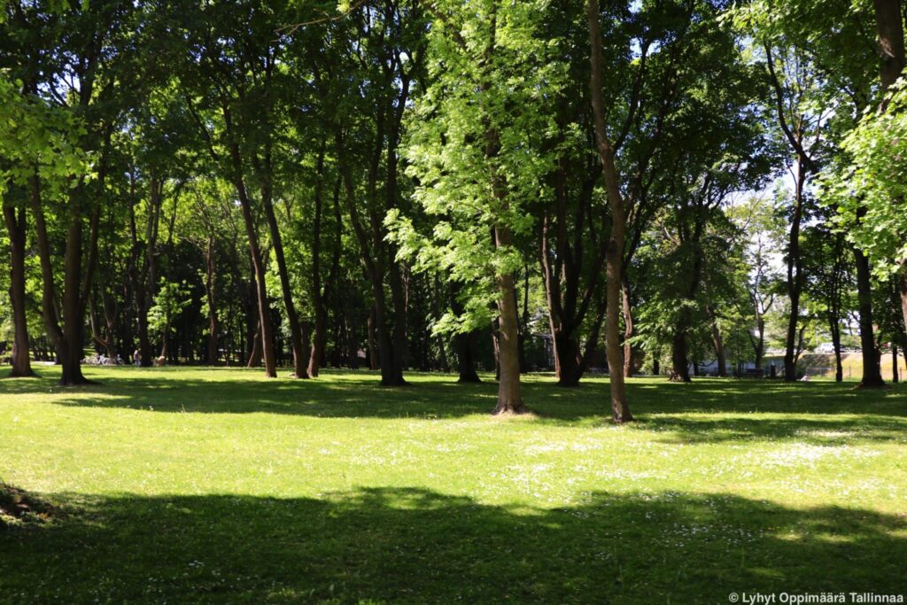 Tallinnan Kalamajan Kalmistupark 14