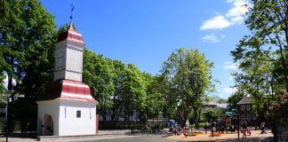 Kalamaja Kalmistupark Tallinna 13