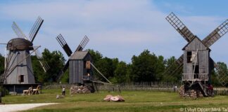 Anglan Tuulimyllyt Saarenmaa 4299
