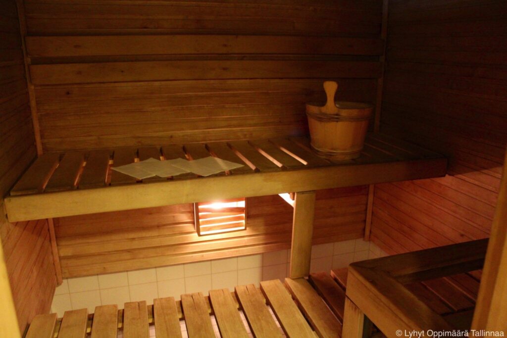 Viru Hotelli Sauna 4
