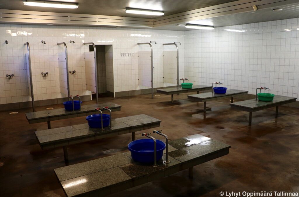 Kalma Sauna 23