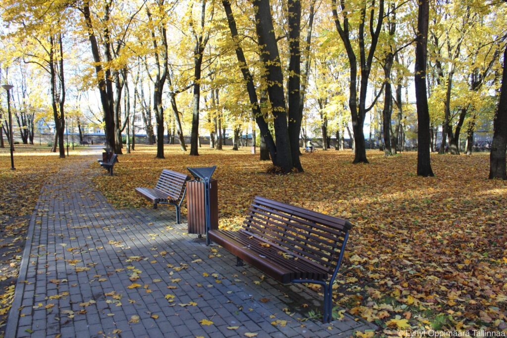 Tallinnan Kalamajan Kalmistupark 2 (5)