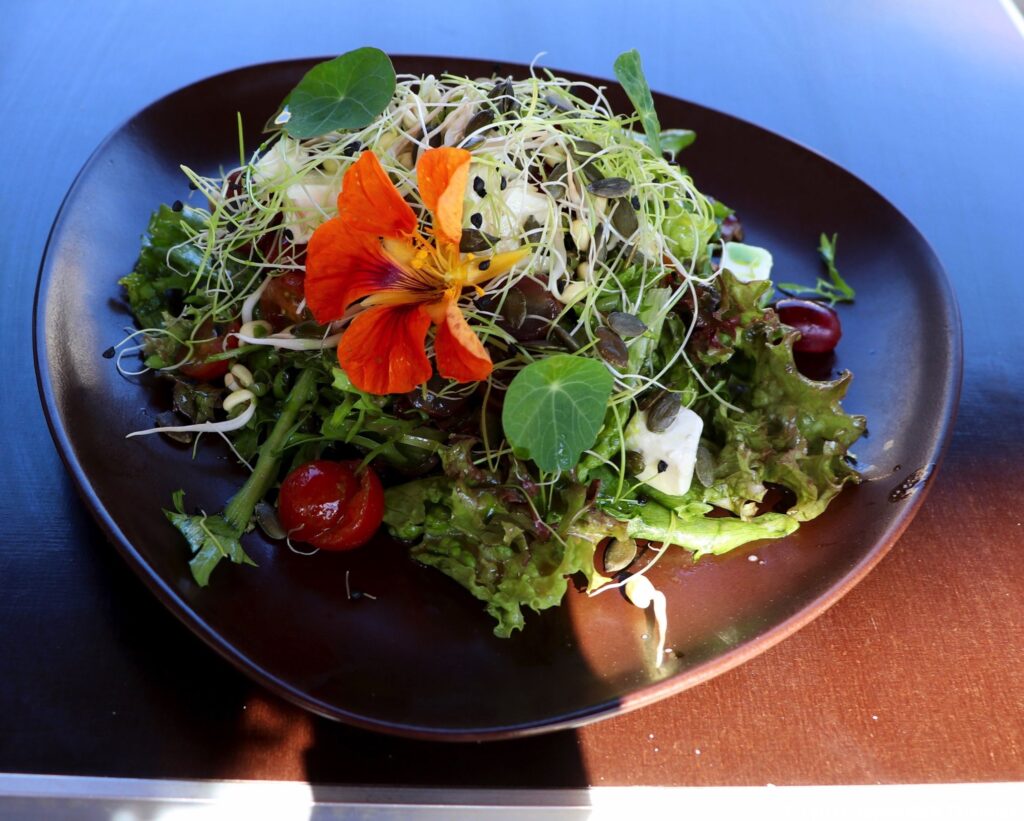 Salaatti Tallinna 9529