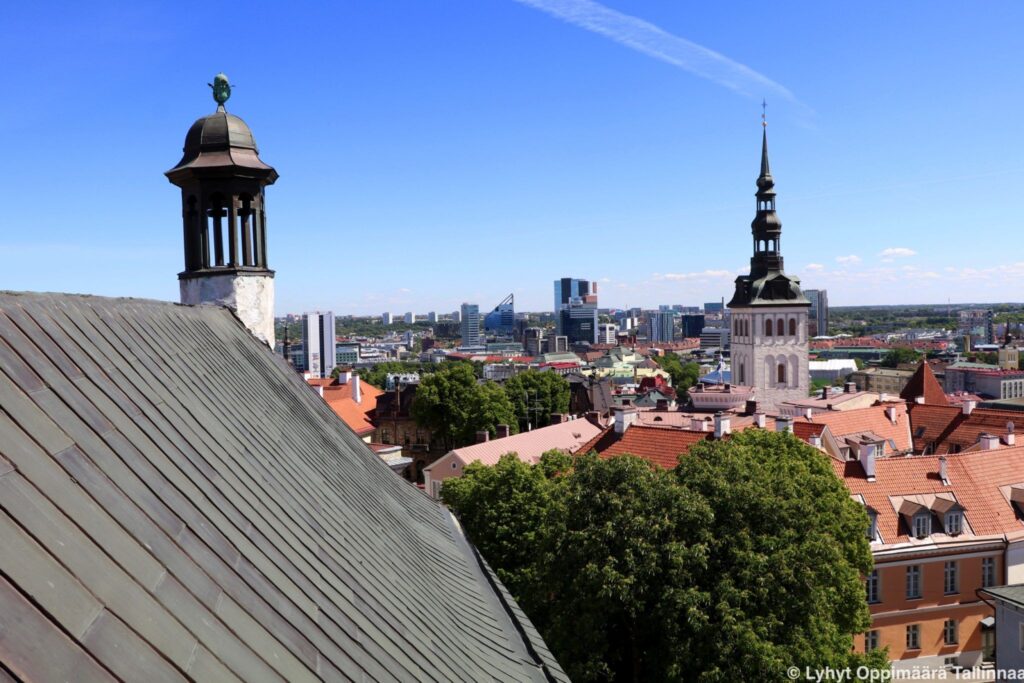 Tallinnan tuomiokirkko 5