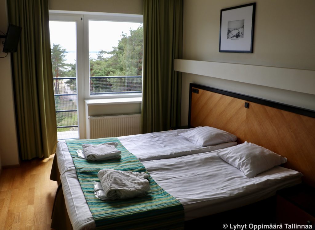 Laulasmaa Spa Deluxe Huone 81