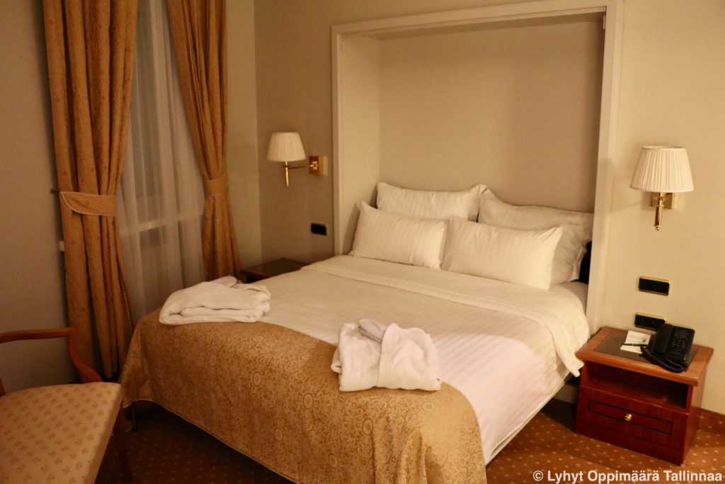 My City Hotel 620