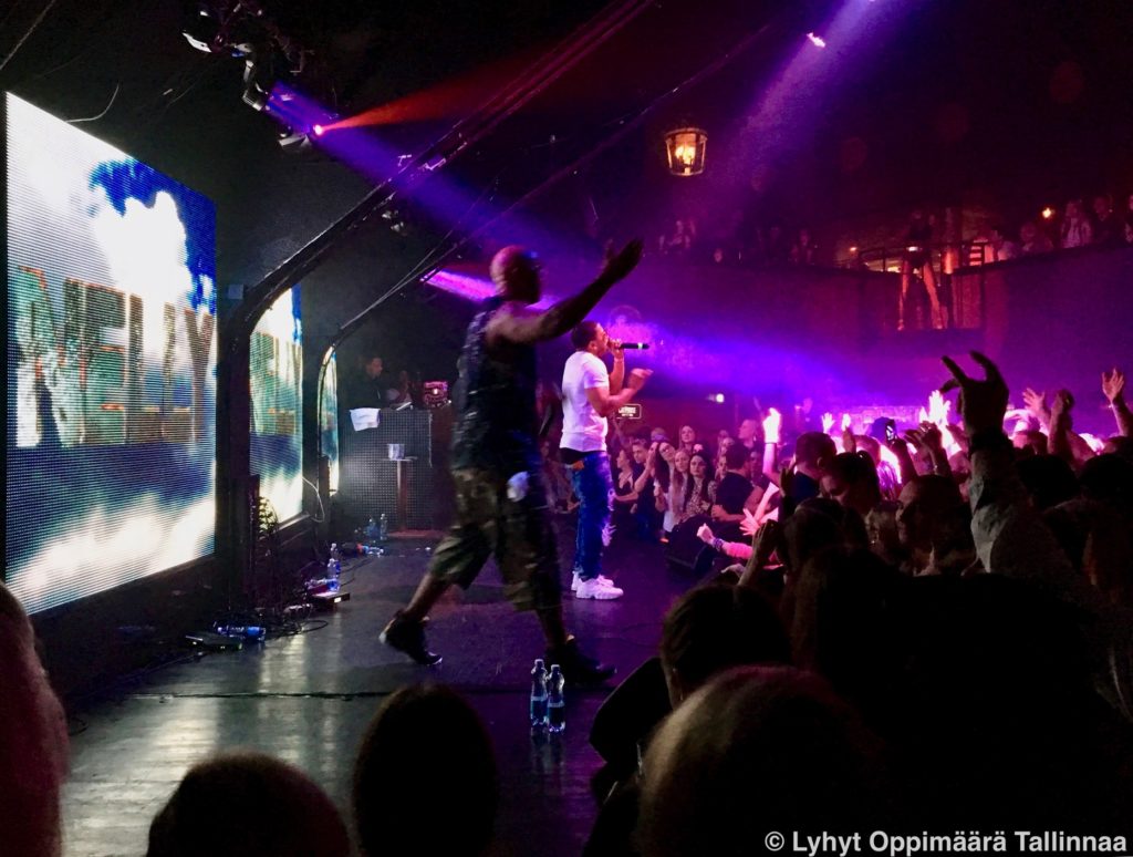 Tallinnan Yokerho Cathouse_7428