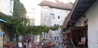 Chocolaterie de Pierre 5 (5)