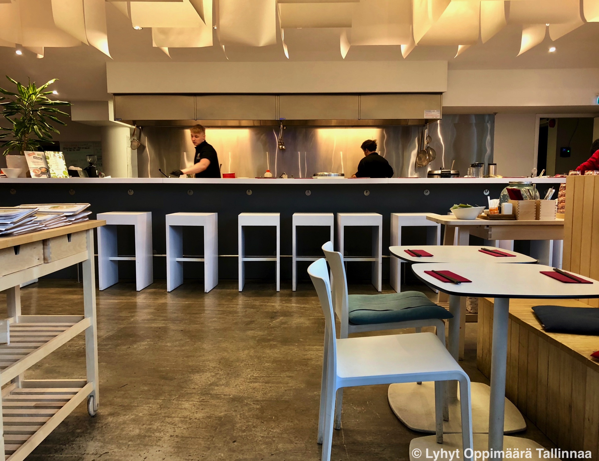 Ravintola Tokumaru Tallinna 1231