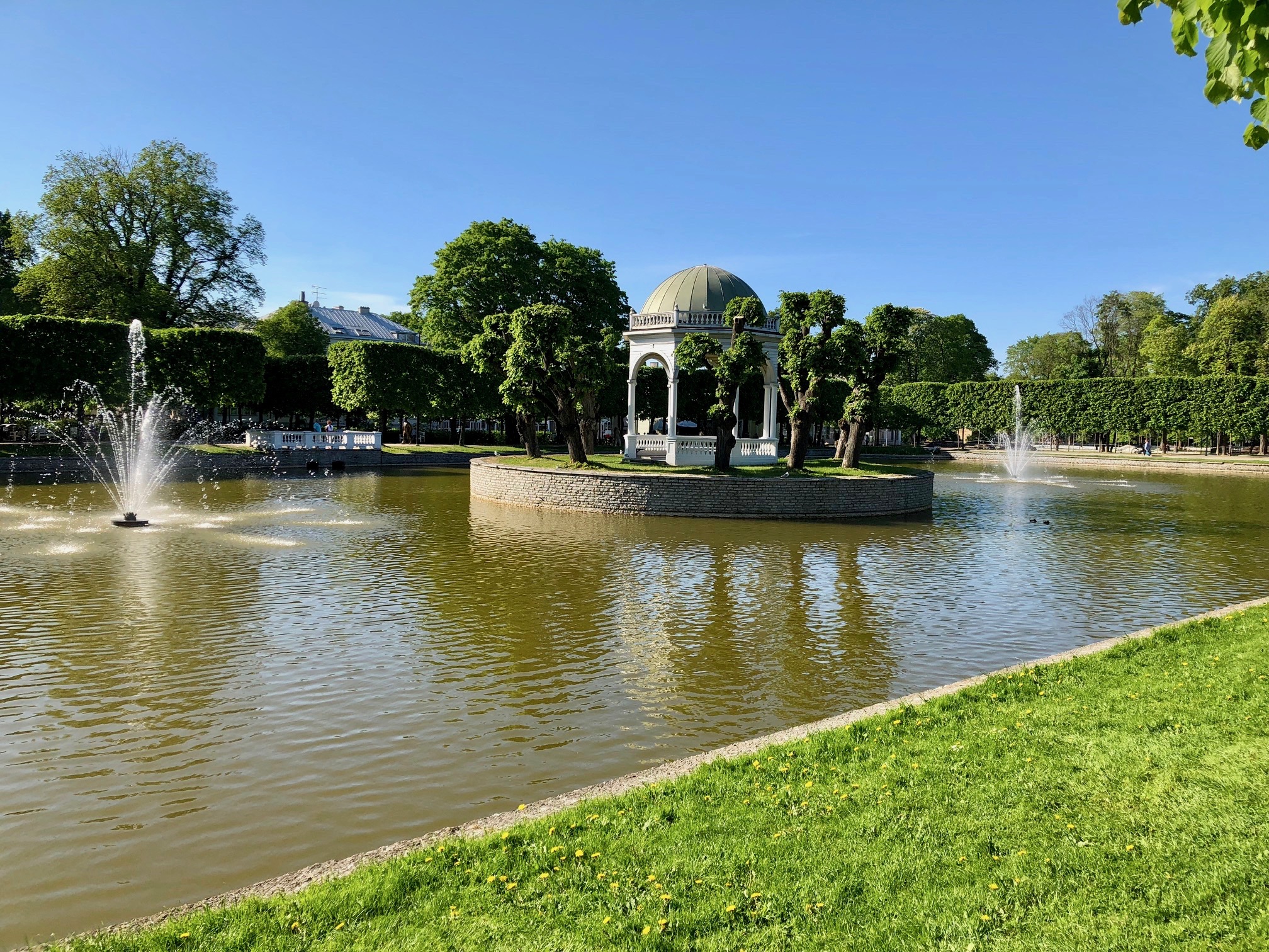 Tallinnan Kadriorgin Joutsenlampi_9882