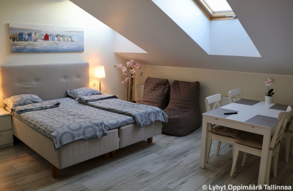 Asunnon Vuokraus Tallinna 1493