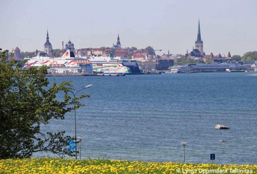 Maarjamaen Muistomerkki Tallinna 2917