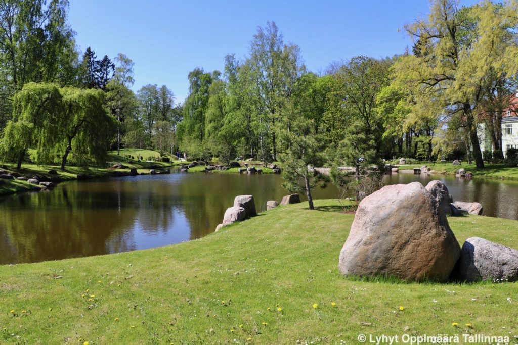 Japanilainen Puutarha Tallinna 2978