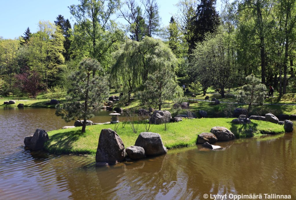 Japanilainen Puutarha Tallinna 2814