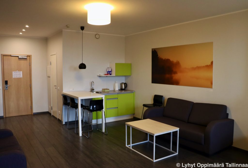 Go Hotel Shnelli Perhehuone 3