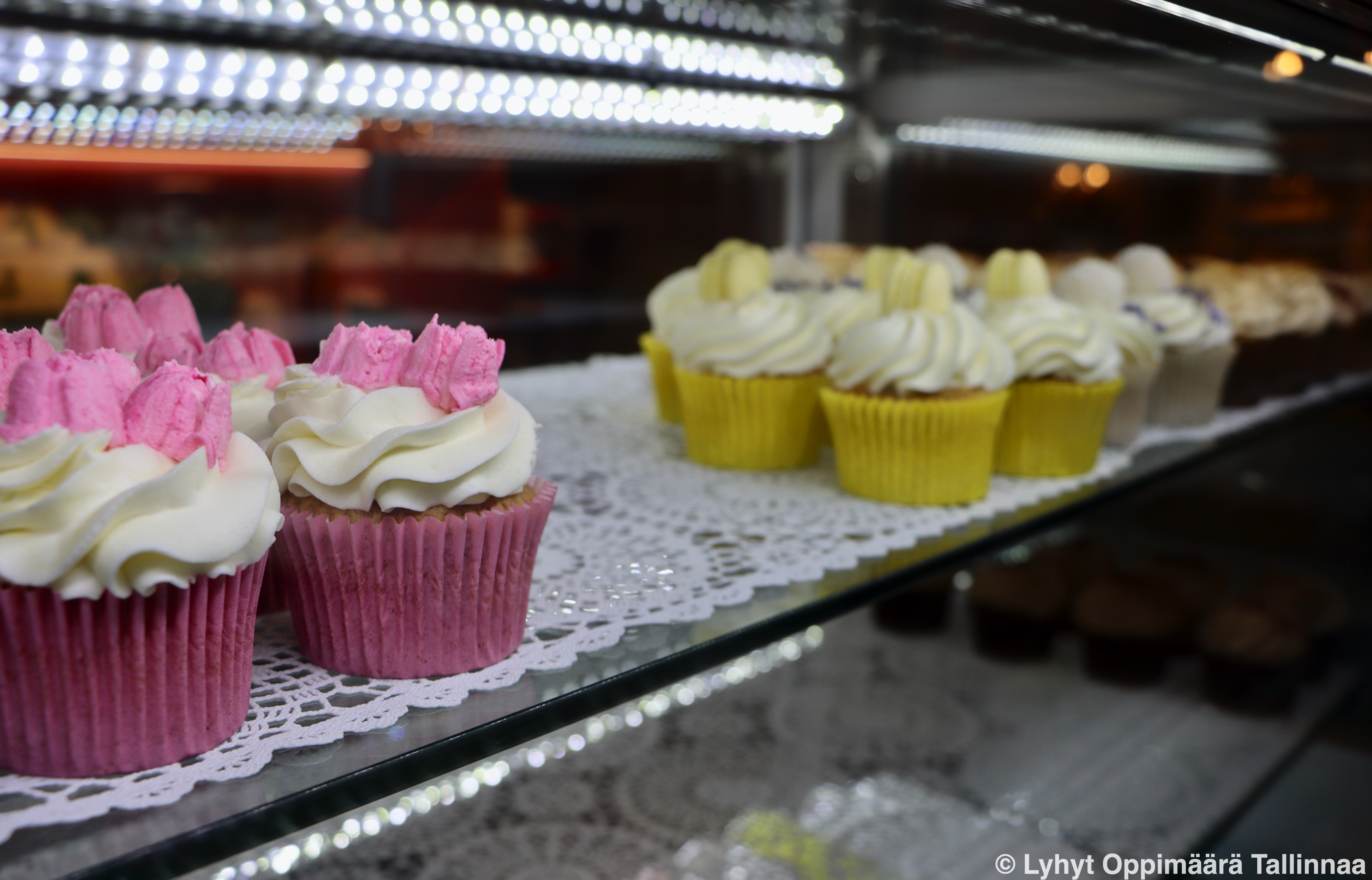 Tassikoogid Kuppikakkuja