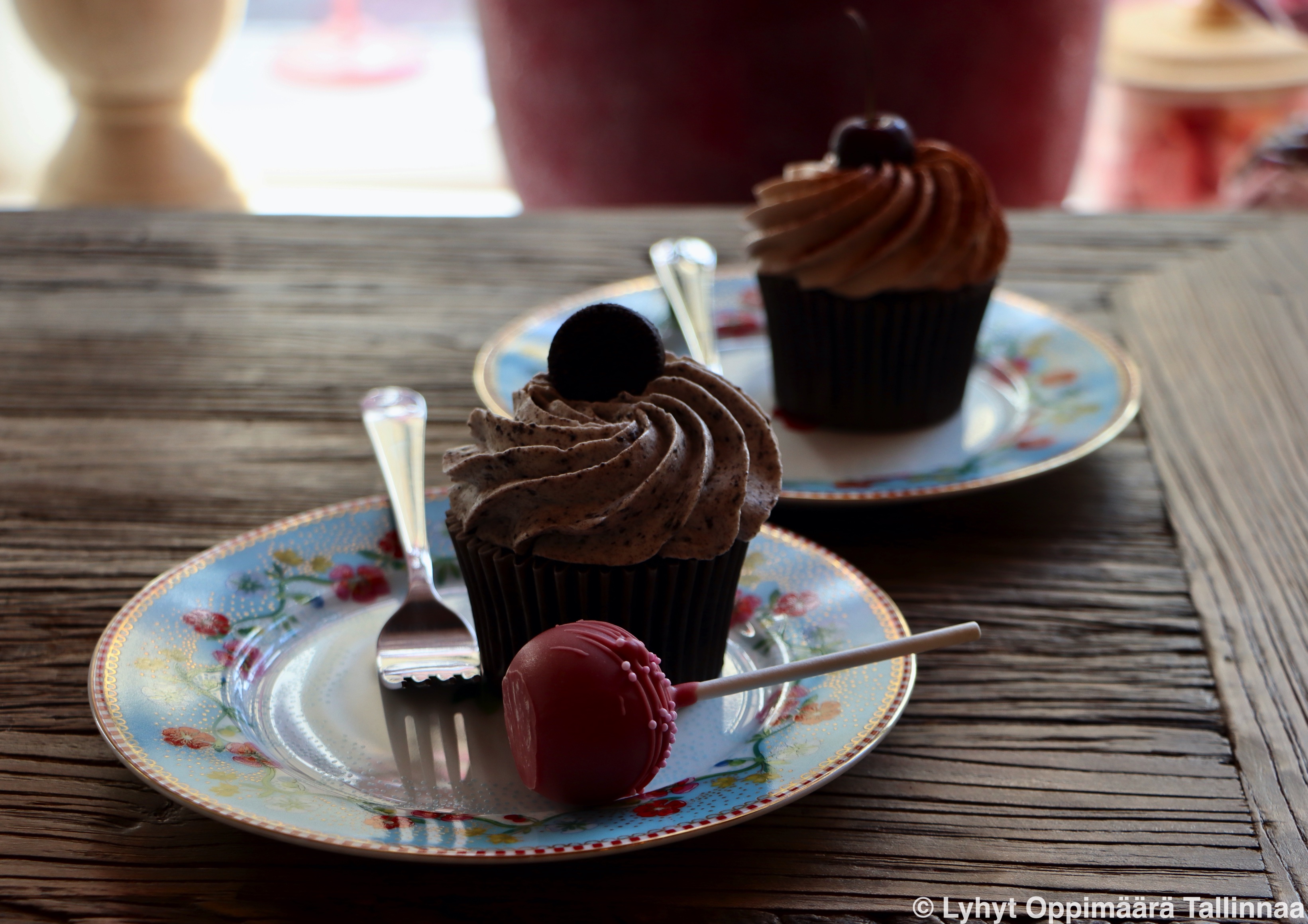 Tassikoogid Tallinna