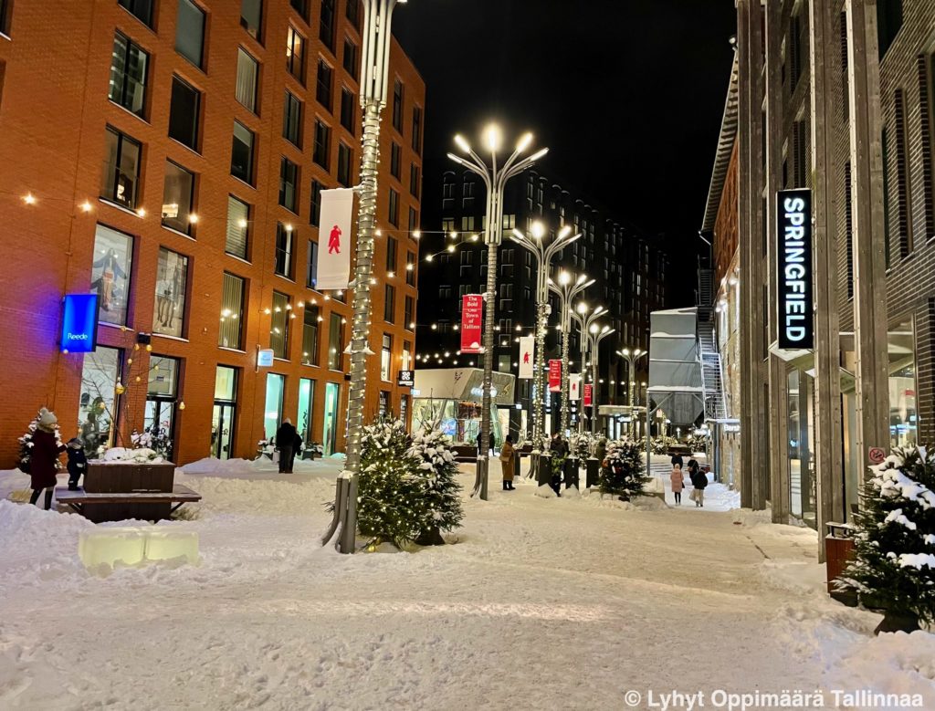 Rotermannin Kortteli Tallinna 121