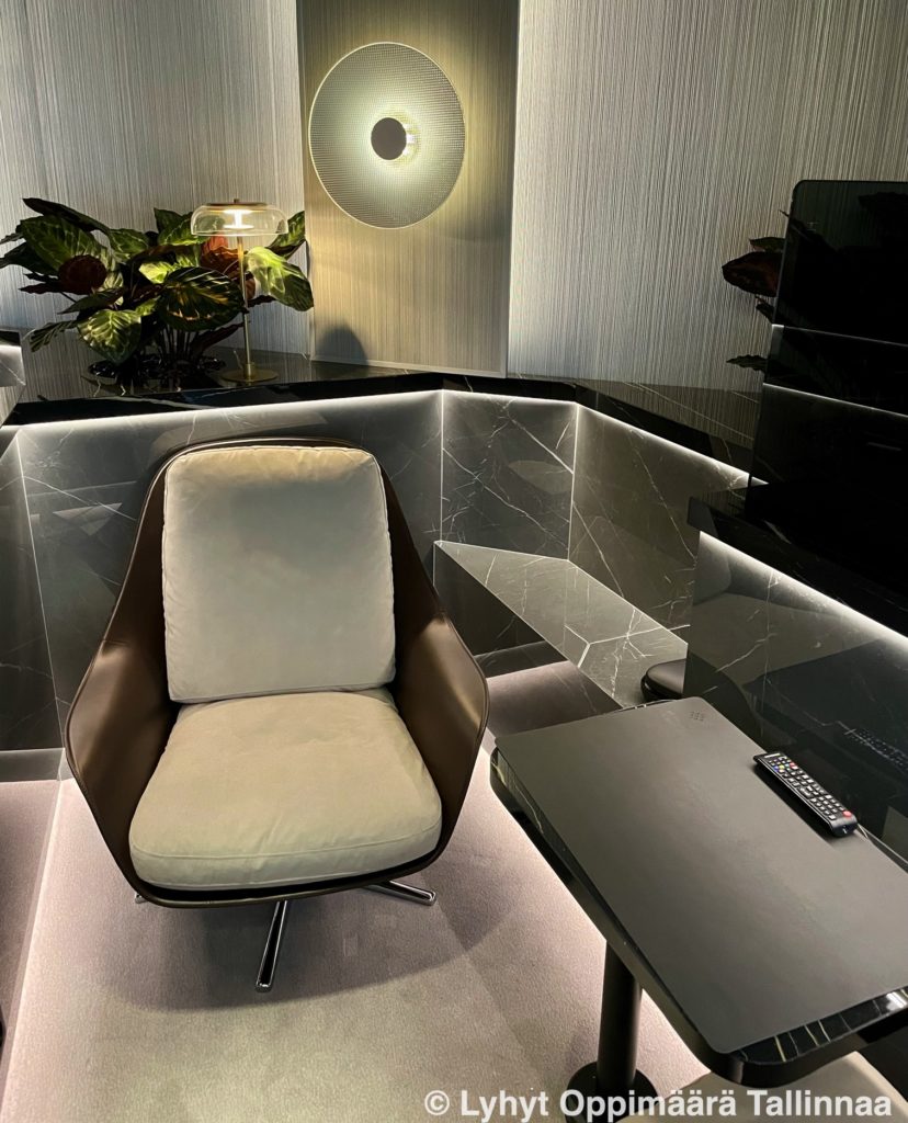 Tallink Platinum Lounge istuin (5)