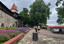 Tanskan Kuninkaan Puutarha 78