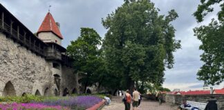 Tanskan Kuninkaan Puutarha 78