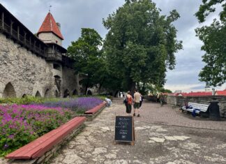 Tanskan Kuninkaan Puutarha 78