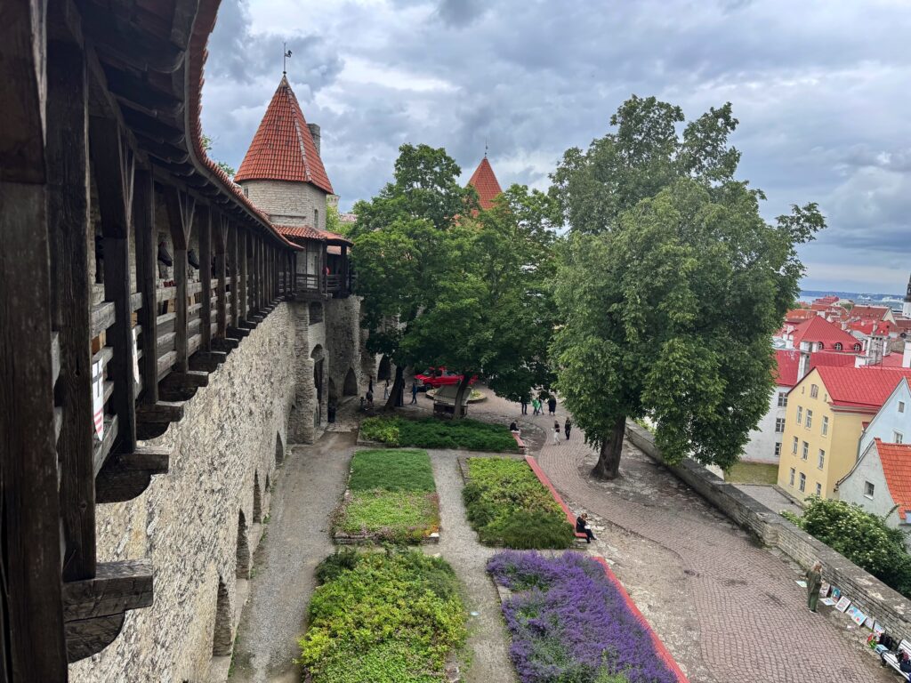 Neitsyttorni Muuri 83