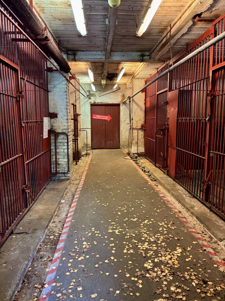 Tallinnan Eläintarha Vanhat Häkit 2