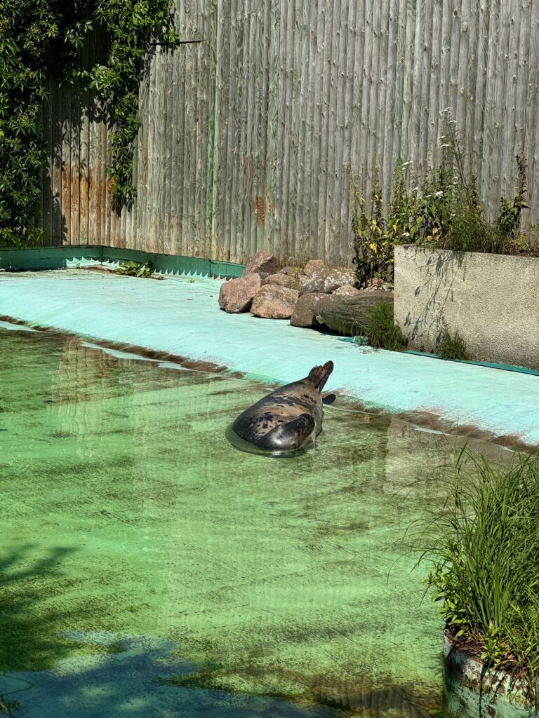 Tallinnan Eläintarha 82