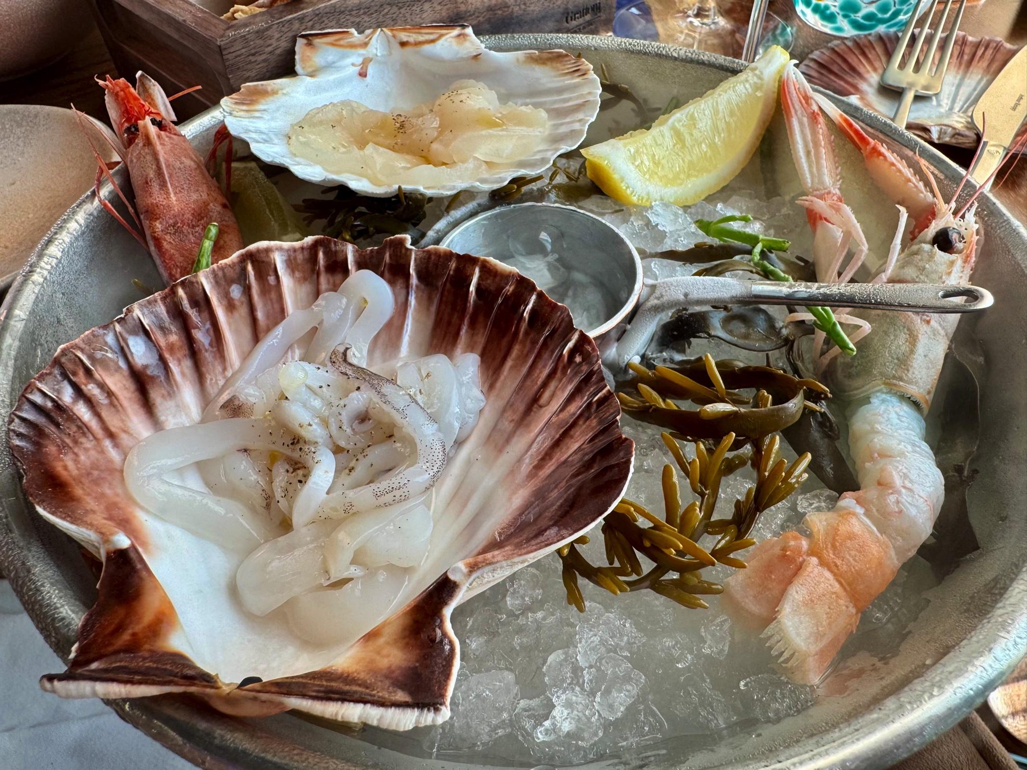 La Prima Noble Merenelävät 1