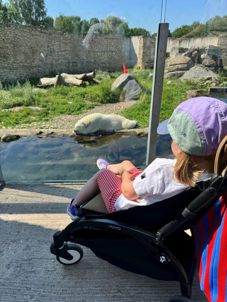 Lapsen Kanssa Tallinnassa 7