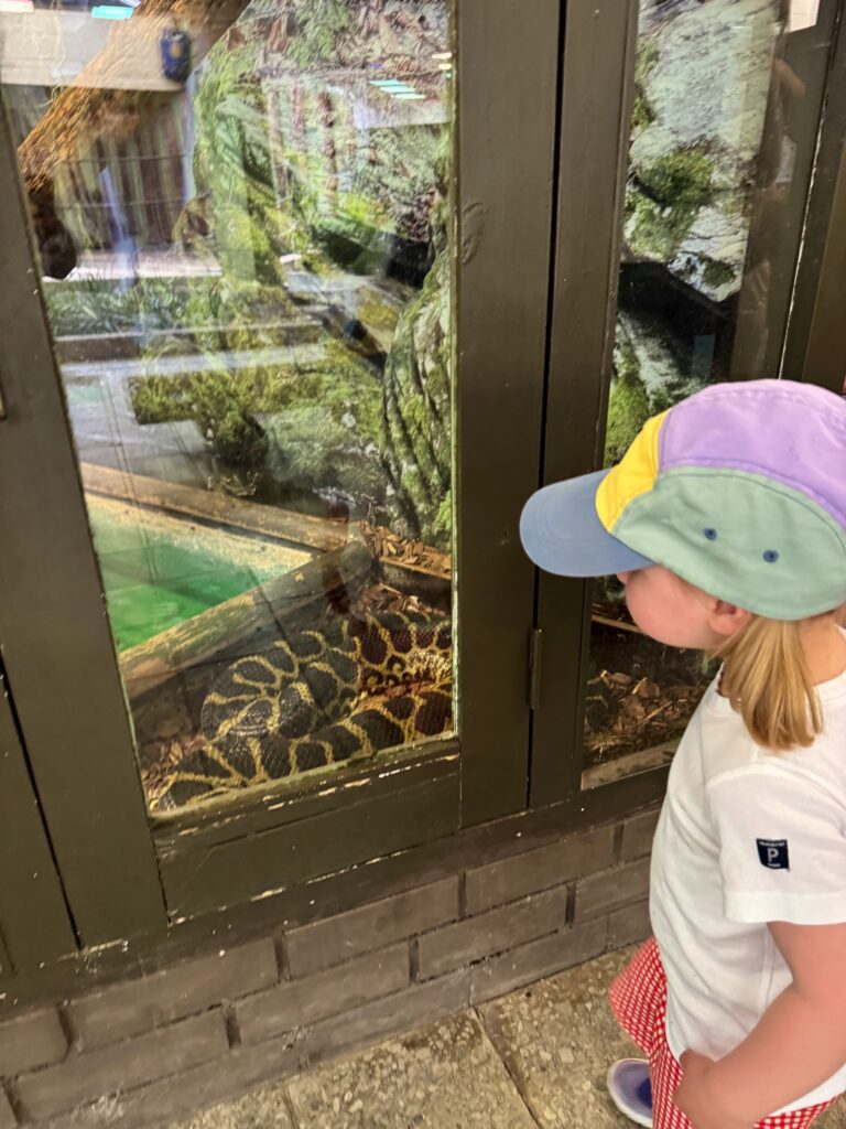 Lapsen Kanssa Tallinnassa 6