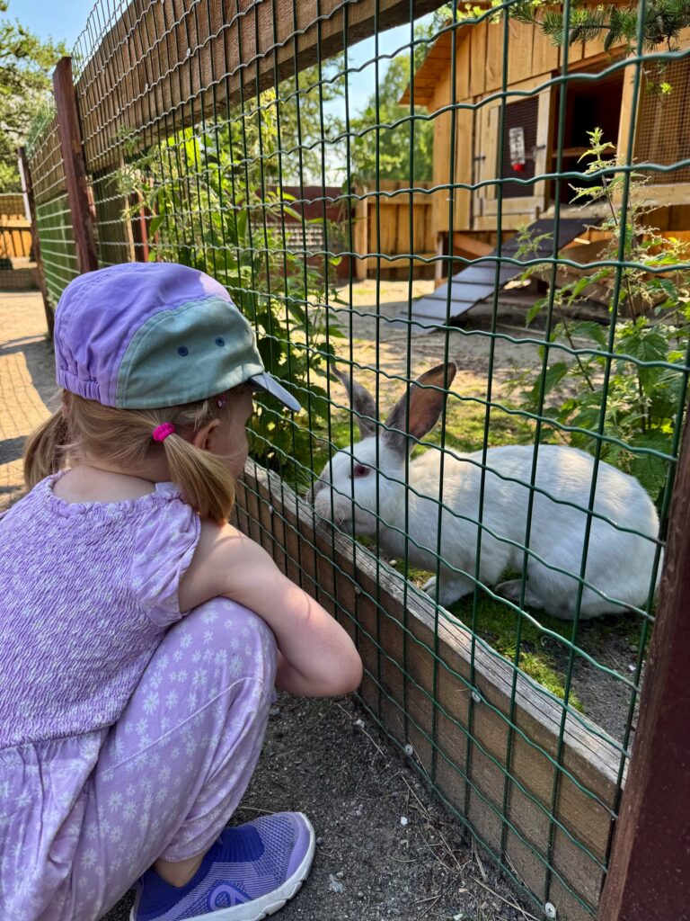 Lapsen Kanssa Tallinnassa 5